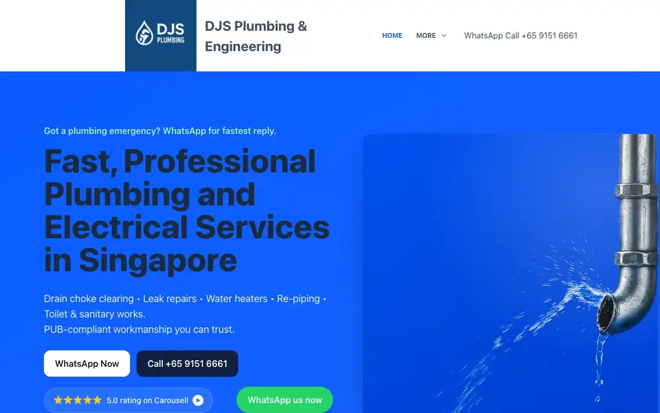 DJS Plumbing and Engineering website homepage, 4 Oct 2026