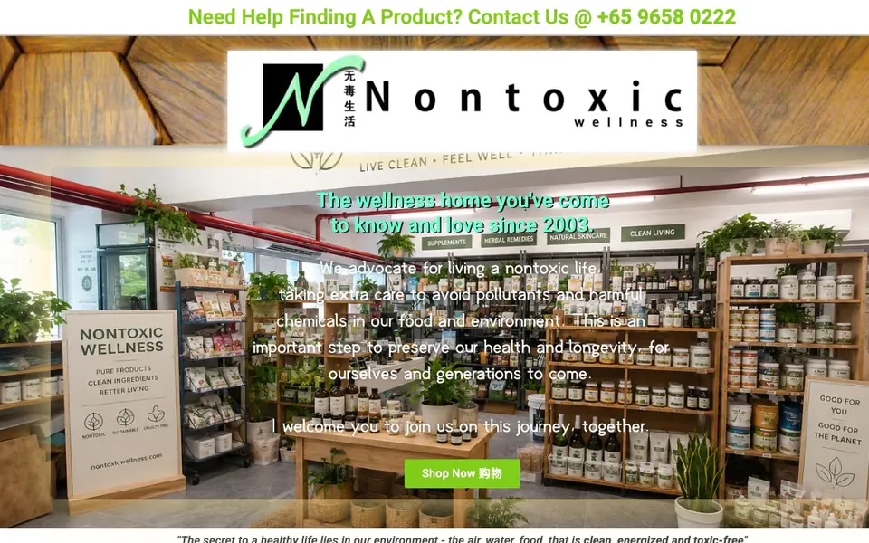Nontoxic Wellness website homepage, 4 Oct 2026