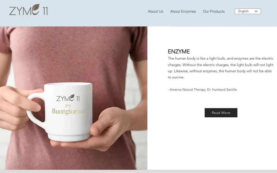 Zyme11 Enzyme website homepage, 4 Oct 2026