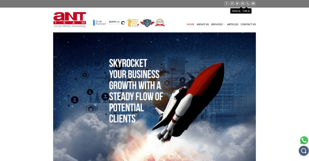 Ant Team Social Media Marketing Agency