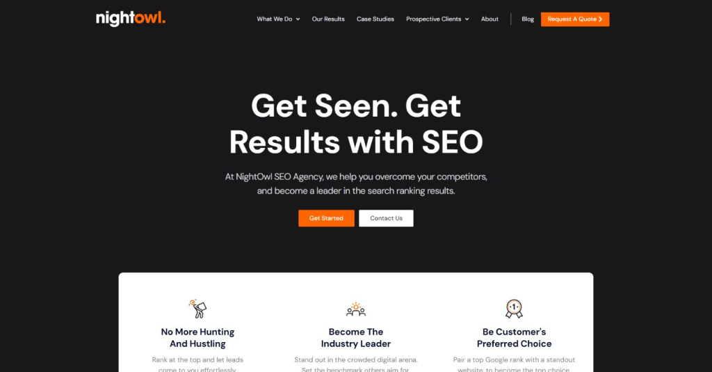 NightOwl SEO