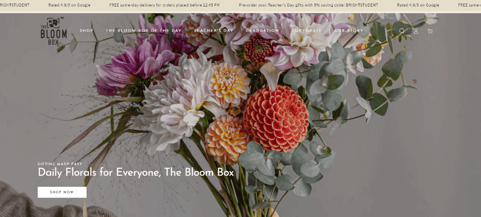 The Bloom Box Pte Ltd