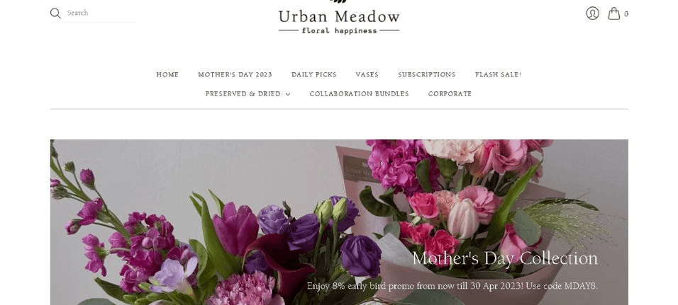 Urban Meadow Flowers